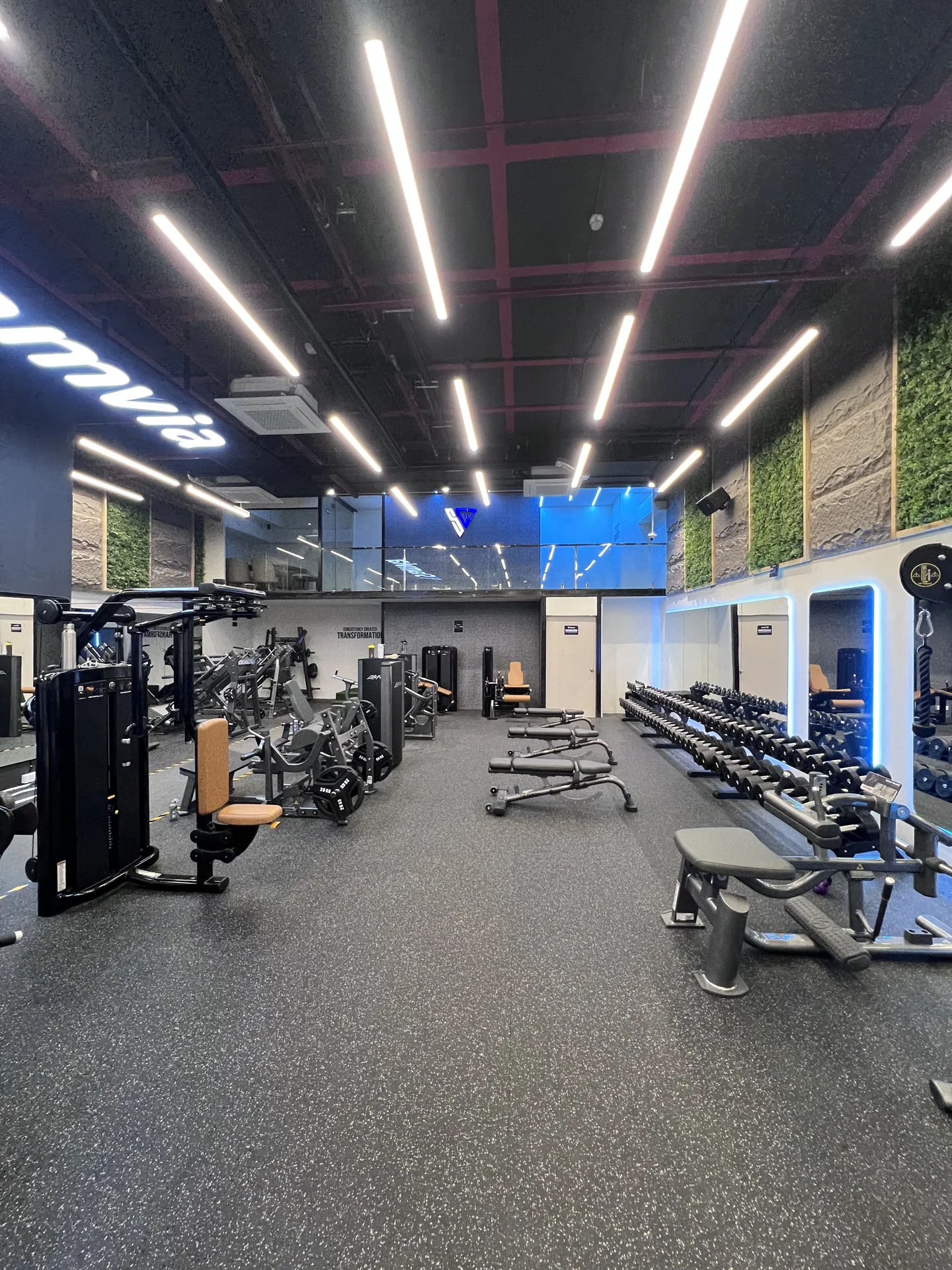 Stamvia Gym