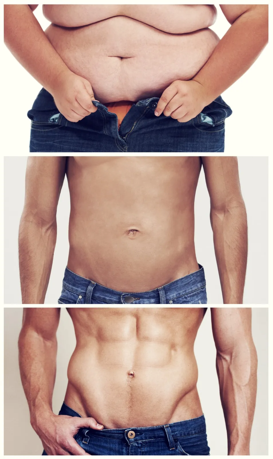 Body Transformation Nutrition